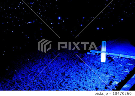 青蓮院ライトアップ 青蓮院ライトアップ 18470260