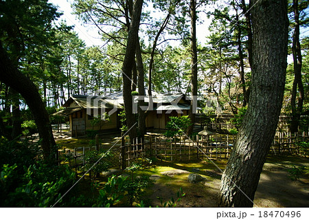 沼津御用邸の茶室風景 沼津御用邸の茶室風景 18470496