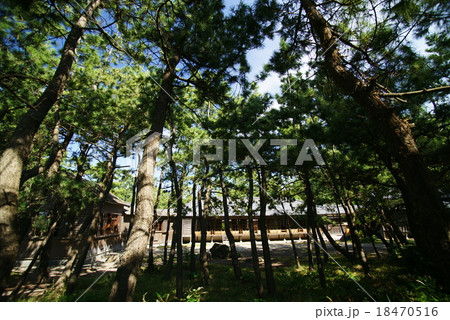 沼津御用邸の邸園風景 沼津御用邸の邸園風景 18470516