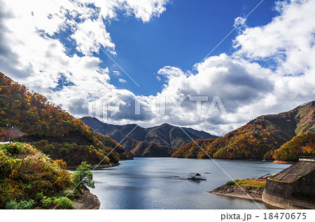 北陸地方 福井県 九頭竜湖の紅葉の写真素材