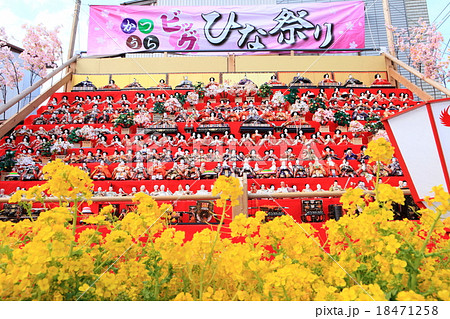 かつうらビッグひな祭り かつうらビッグひな祭り 18471258