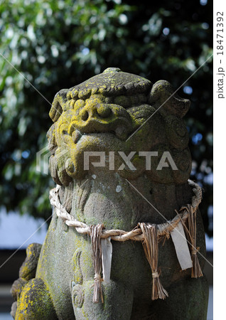 伊丹賀茂神社の狛犬-3 18471392