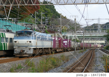 貨物列車　EF66　コンテナ　東戸塚駅 18472800