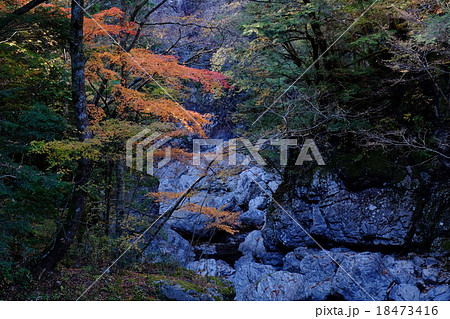 みたらい渓谷の秋（奈良県吉野郡天川村） 18473416
