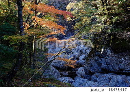 みたらい渓谷の秋(奈良県吉野郡天川村) みたらい渓谷の秋(奈良県吉野郡天川村) 18473417
