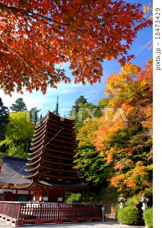 談山神社の紅葉(奈良県桜井市) 談山神社の紅葉(奈良県桜井市) 18473429