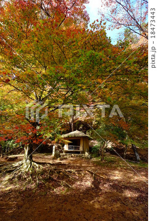 西行庵の秋(奈良県吉野郡吉野町) 西行庵の秋(奈良県吉野郡吉野町) 18473443