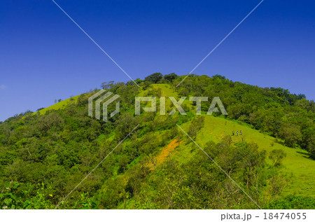 green hill with blue sky green hill with blue sky 18474055