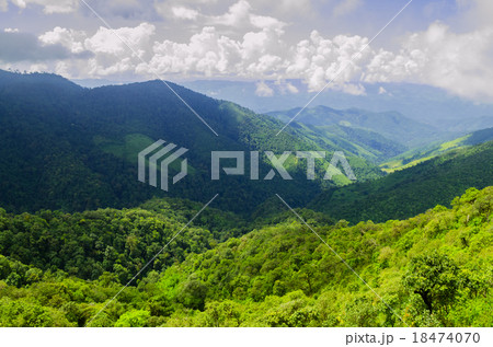 Stunning aerial view of spectacular jungles 18474070