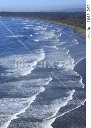 クレセント・ビーチ 18474266