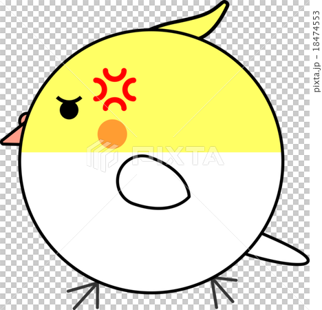 Maruko(鸚鵡和rucino) Maruko(鸚鵡和rucino) 18474553