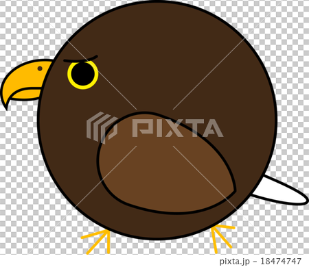 丸鳥（オジロワシ） 18474747