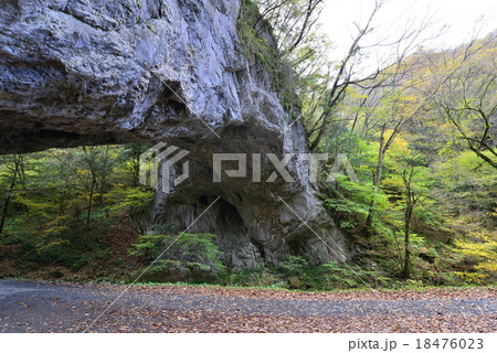 雄橋 雄橋 18476023