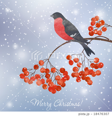 Winter background with bullfinch 18476307