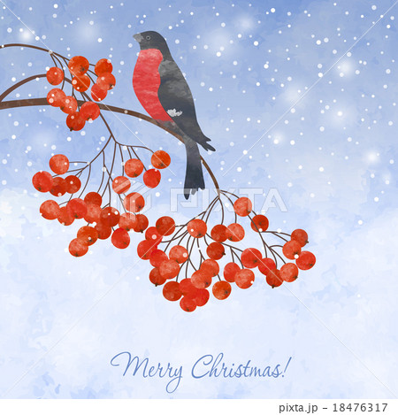 Winter background with bullfinch Winter background with bullfinch 18476317