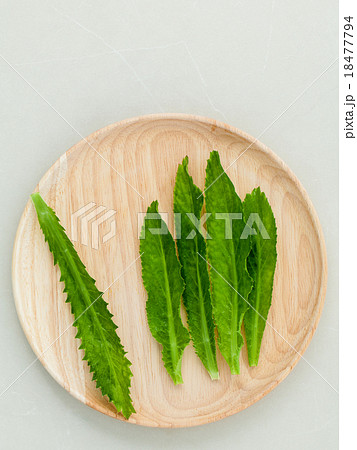 Culantro, Long coriander, Sawtooth coriander. 18477794