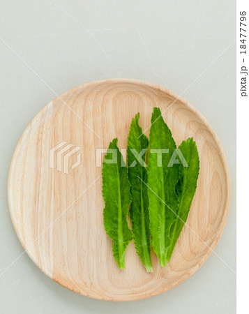 Culantro, Long coriander, Sawtooth coriander. 18477796