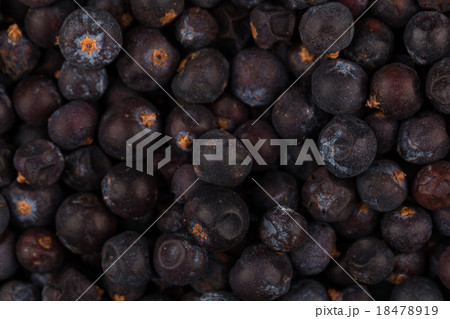 Dried black currant 18478919