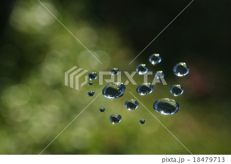 輝く水滴と緑の雰囲気 18479713