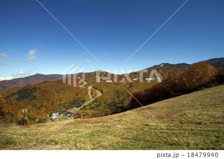 秋の西館山 18479940