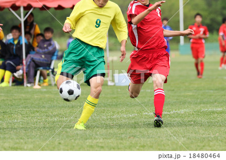 サッカー フットボール サッカー フットボール 18480464