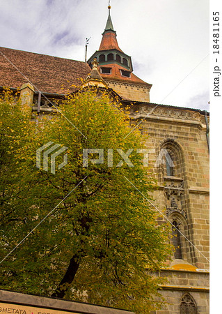 ブラショヴ ブラショヴ 18481165