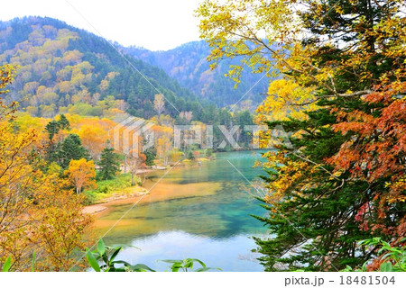 長野県・秋の志賀高原・大沼池 長野県・秋の志賀高原・大沼池 18481504