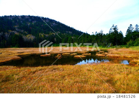 長野県・秋の志賀高原・四十八池湿原 18481526