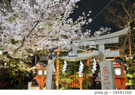 祇園白川の夜景 18481566