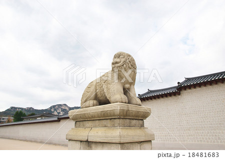 韓国の王宮の城門　光化門の狛犬 18481683