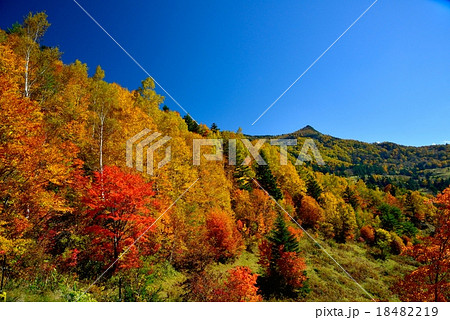 Autumn leaves of Matsukawa Valley, Nagano - Stock Photo