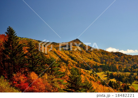 長野県・松川渓谷の紅葉 18482221