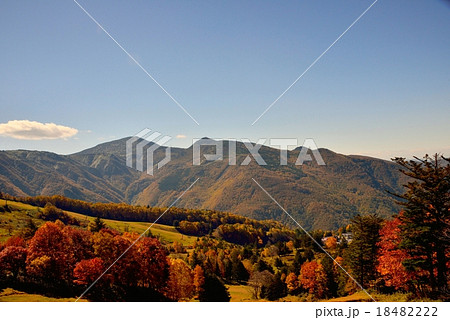 長野県・松川渓谷の紅葉 18482222