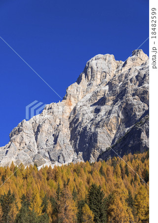 カラマツの黄葉美しいドロミティ地方 カラマツの黄葉美しいドロミティ地方 18482599