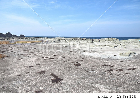 青森県・千畳敷海岸 18483159
