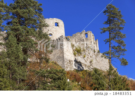 レッヒタールのエーレンベルク城 18483351