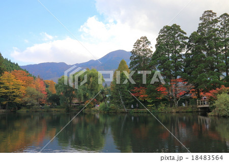 金鱗湖 金鱗湖 18483564