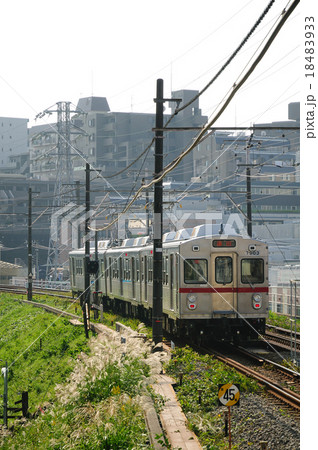 ススキなびく秋の築堤を走る東急池上線の7700系電車 18483933