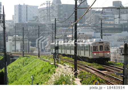 ススキなびく秋の築堤を走る東急池上線の7700系電車 ススキなびく秋の築堤を走る東急池上線の7700系電車 18483934