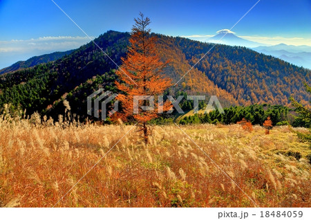 大菩薩連嶺の草原と富士山 18484059