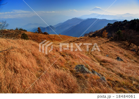 大菩薩連嶺・白谷ヶ丸の草原と富士山 18484061