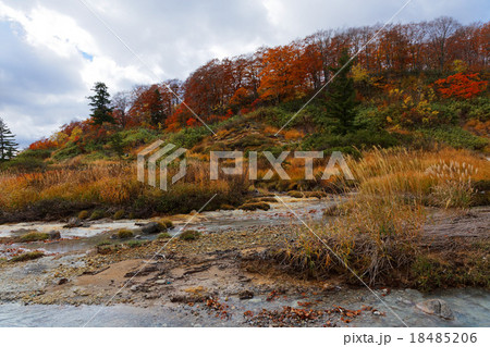 十和田八幡平国立公園の後生掛温泉の紅葉 十和田八幡平国立公園の後生掛温泉の紅葉 18485206
