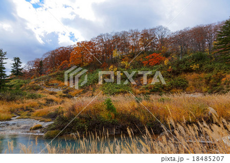 十和田八幡平国立公園の後生掛温泉の紅葉 十和田八幡平国立公園の後生掛温泉の紅葉 18485207