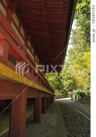 毛越寺 18485583