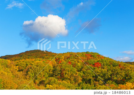 早朝の西根高倉山の紅葉と青空 18486013