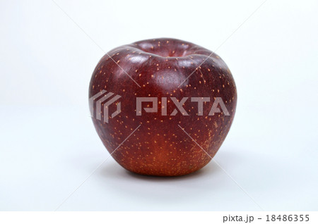 リンゴ（秋映） 18486355
