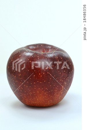 リンゴ（秋映） 18486356