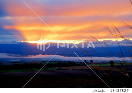 美瑛 (21) 美瑛 (21) 18487327