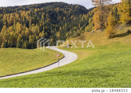 チロルの谷の草原秋色 18488353