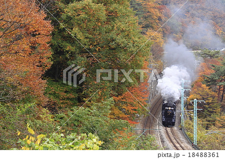 紅葉の上越線ＳＬ 18488361